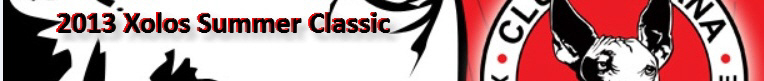 2013 Xolos Summer Classic - Temecula, CA banner